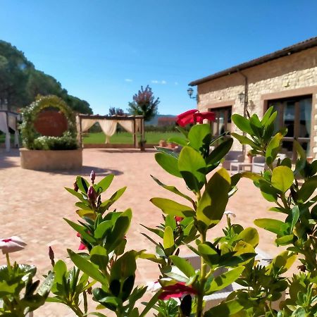 Il Pianaccio Villa Сполето Екстериор снимка